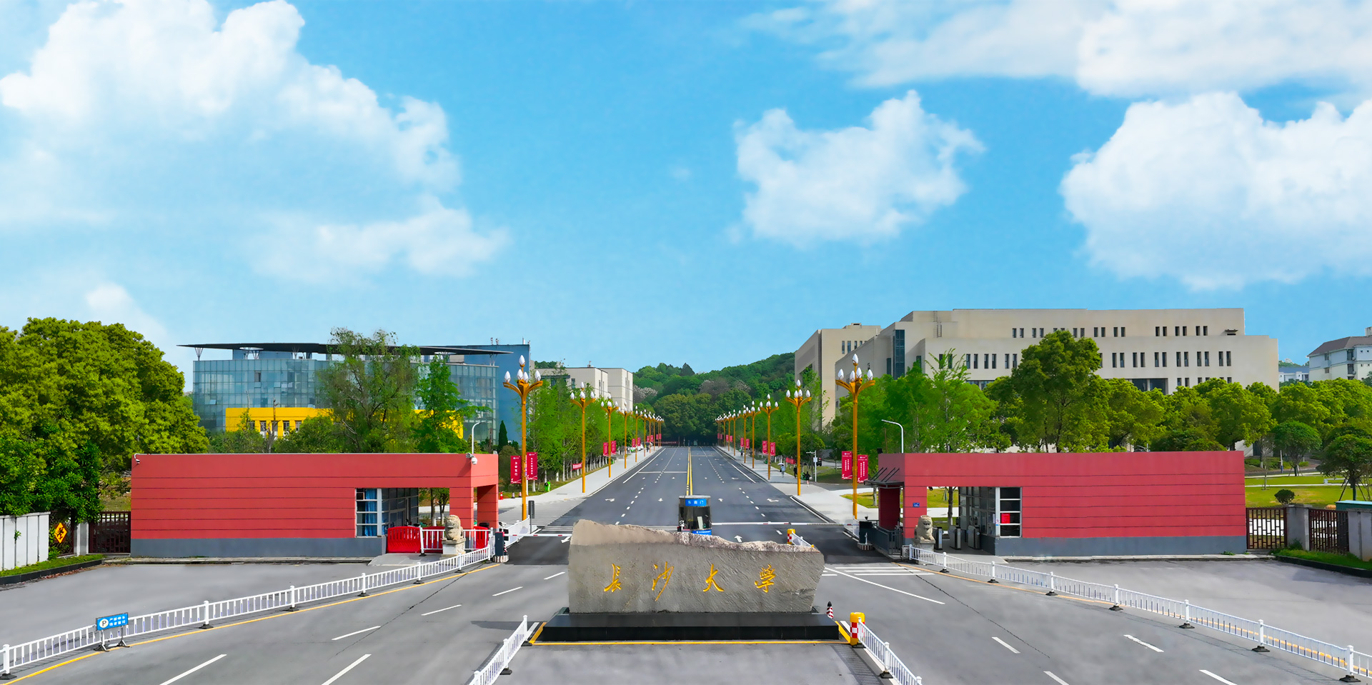 顶部banner